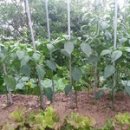 유신농장 이미지