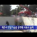 일본불곰 습격 사망사고에서 얻을 수 있는 교훈 이미지