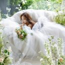 마이스튜디오 이미지