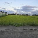 오수동농장 이미지