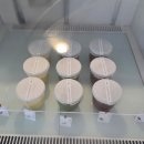 로컬리티 | [제주 우무 본점]신상 우무솝 푸딩 비누 솔직 후기, 주차 꿀팁 & 메뉴 가격 완벽 정리!