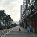 어주홍삼