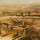 타작마당 이미지