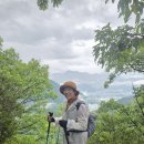 7월18일영월 발산 (강원20챌린지) 영월 청령포와 '단종어소(端宗御所)'의 영월 청령포 [왕과 함께 걷는 길] 전나무숲 (오감트레 이미지