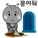 석사 경희대 인성 태권도 이미지