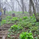 ♧부천한우물산악회8월정기산행/인제,곰배령/17.8.12~13♧ 이미지