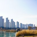 운정호수공원 이미지