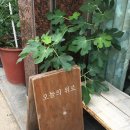 [마포/망원] 내돈내산 과일케이크 카페 추천 <오늘의 위로> 솔직 후기