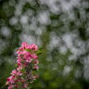 Bubble Bokeh 연습 이미지