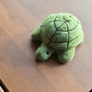 휴마트 (주)남숙 | 🐷1월 돼지보고서 &amp; 설 전까지의 일기 (1년만인 생일🥳)