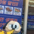 피자헤븐인눈치떡 - 서대문구 연세로9길 34-4 | 신림역피자 맛집, 퍼그피자하우스 신림점 애견동반 펫존 솔직후기