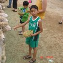 현우목장 이미지