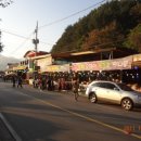 백담코다리 이미지