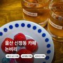 울산 신정동 카페 논비리 남구 신상 옥동 하이볼 술집