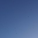 해맞이로 이미지