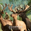 자연사슴농장 이미지