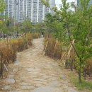 진상면 백학동커뮤니티센터 | [ 여순광신문 - 광양뉴스 ] 광양시, 수목(樹木) '나무은행 사업'으로 예산 2억 8천만원 절감