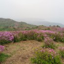 한치재주차장 이미지