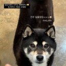옐하네일
