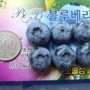 남해비엔비 네이버블로그