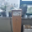 일토농장 | 올리브나무 키우기