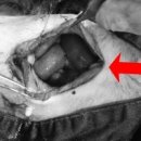 대학로동물병원 이미지