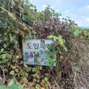 도일목장 이미지