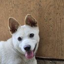 노무내농장 이미지