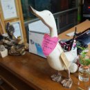 시를 쓰는 오리 이미지