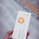 다우미 | 뒹굴이의 '제주다우미' 면접후기