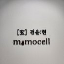 모모셀
