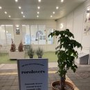 로로러버스 이미지