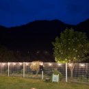 스테이독 이미지