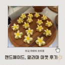 하와이 로컬 핸드메이드 '말라마 마켓Malama market' 후기 및 일정