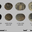 돌대가리 이미지