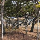 홍티마을회관 이미지