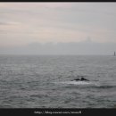 이득등대횟집 이미지