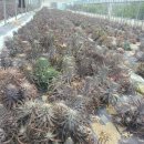 예지농장 이미지