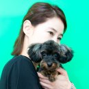 집에서도 간단히 반려견 미용 이미지