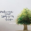 수채화도 배우고 캘리그라피도 배우고~ 수채캘리그라피 이미지