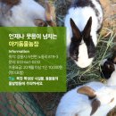 강릉아기동물농장 이미지