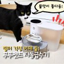 (주)신장바이오 | 고양이 정수기 고민? 4묘 집사가 필터프리 자동급수기로 정착한 이유!