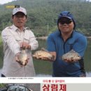 상림제 이미지
