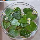 아지매제첩국 | [일상] 추석이 지난후 9월의 일상 끝 ,,!