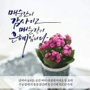 은혜 이미지