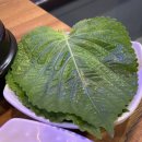 제육신화 이미지