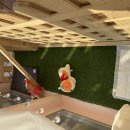 티나네강아지미용실 이미지