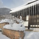 삼성늘푸른약국 이미지