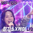 케이나비