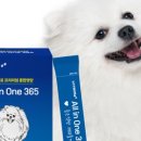 마이펫30 이미지